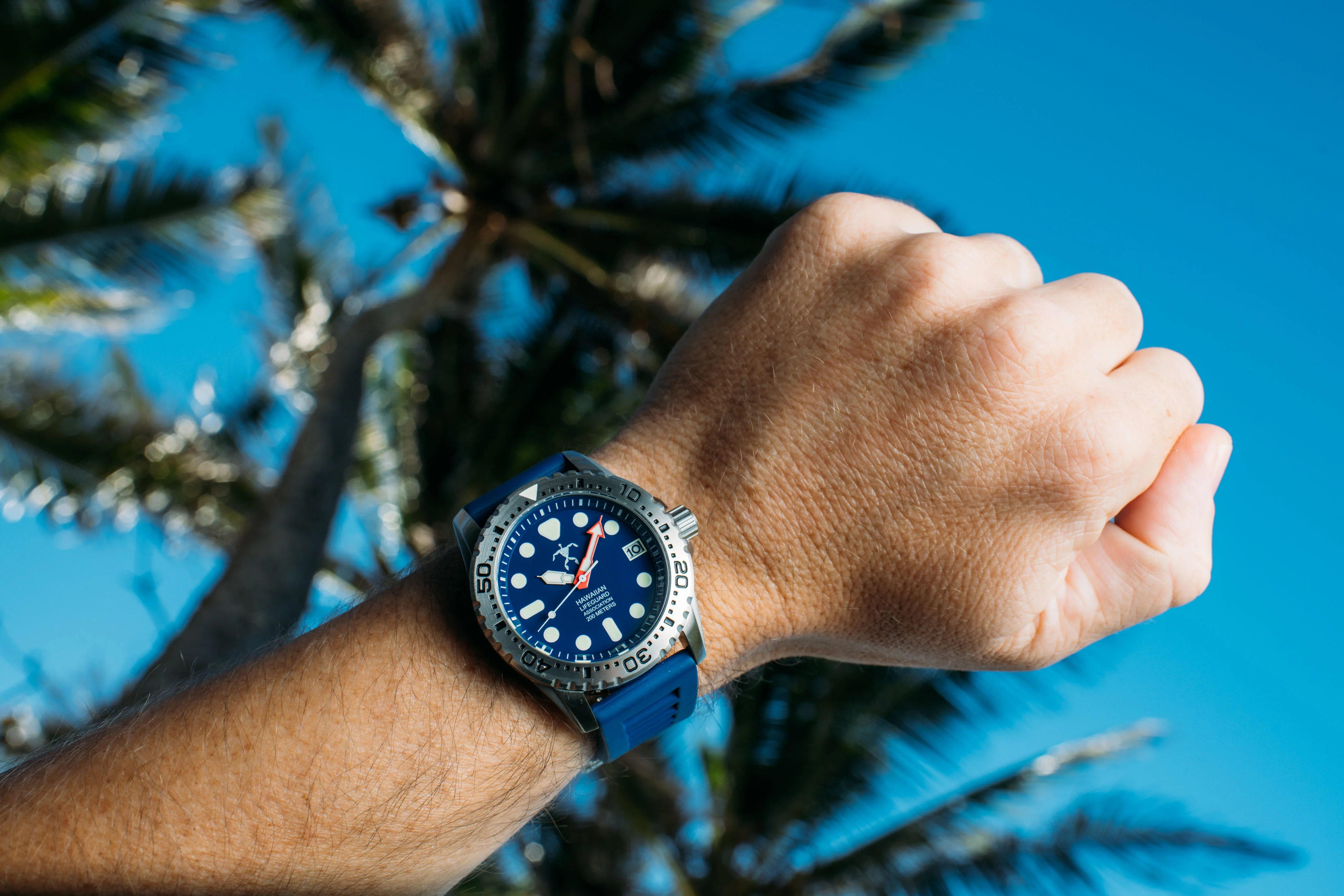 42mm Dive Series SS/Blue/Blue | Blue Dial - Image 2