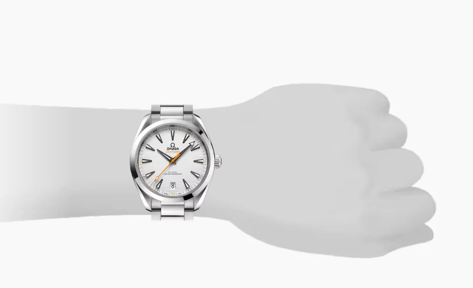 AQUA TERRA 150M COAXIAL MASTER CHRONOMETER 41mm | Sliver Dial - Image 2
