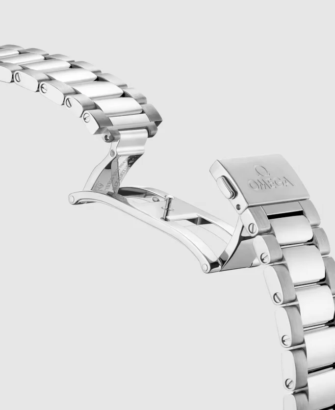 AQUA TERRA 150M COAXIAL MASTER CHRONOMETER 41mm | Sliver Dial - Image 4