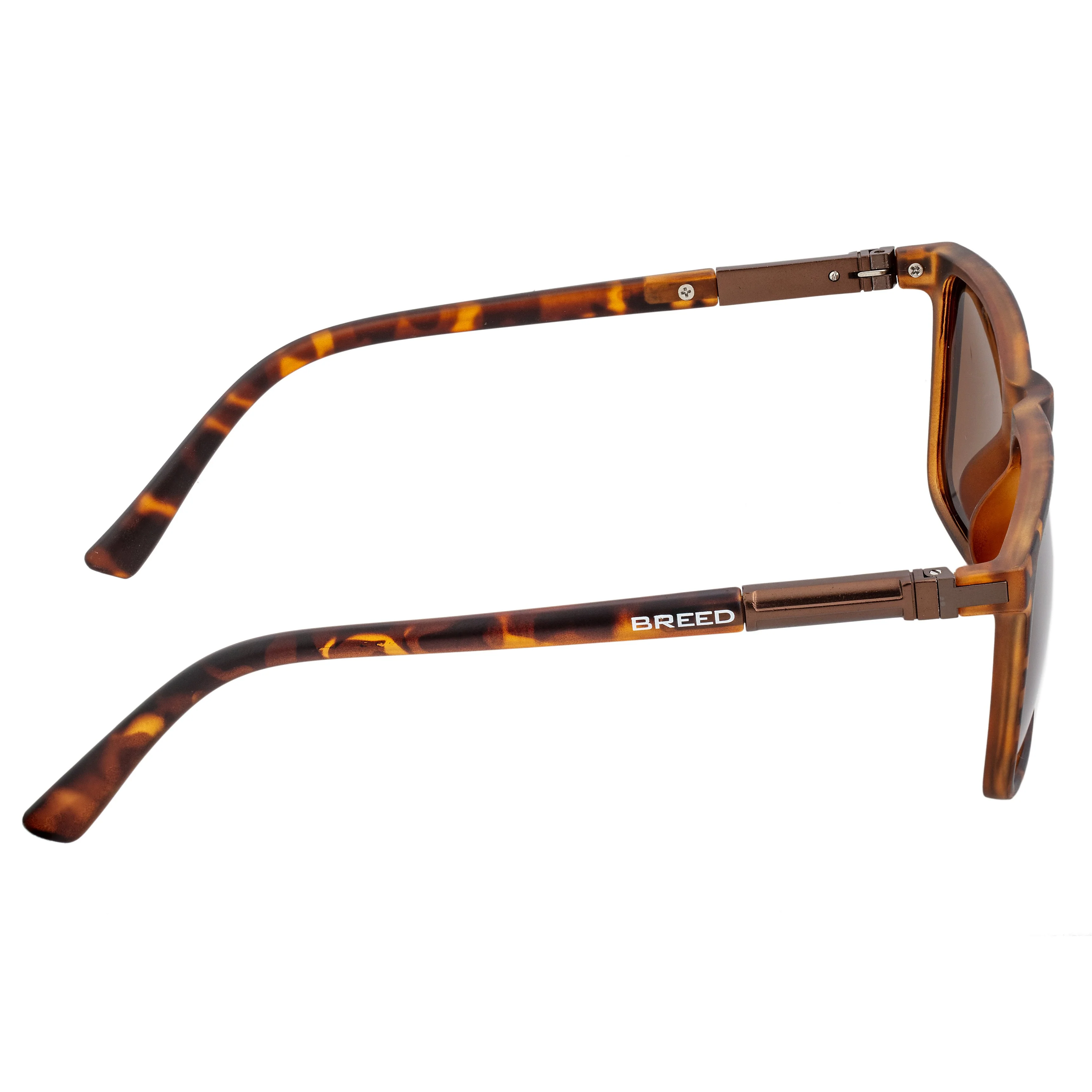 Caelum Tortoise/Brown - Image 3