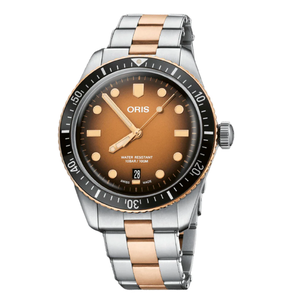 DIVERS SIXTY-FIVE Brown / Bronze | Brown Dial