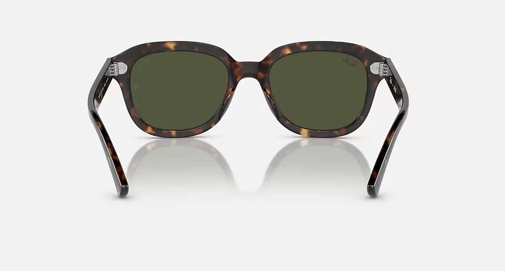 ERIK UNISEX Havana / Green |  Dial - Image 4