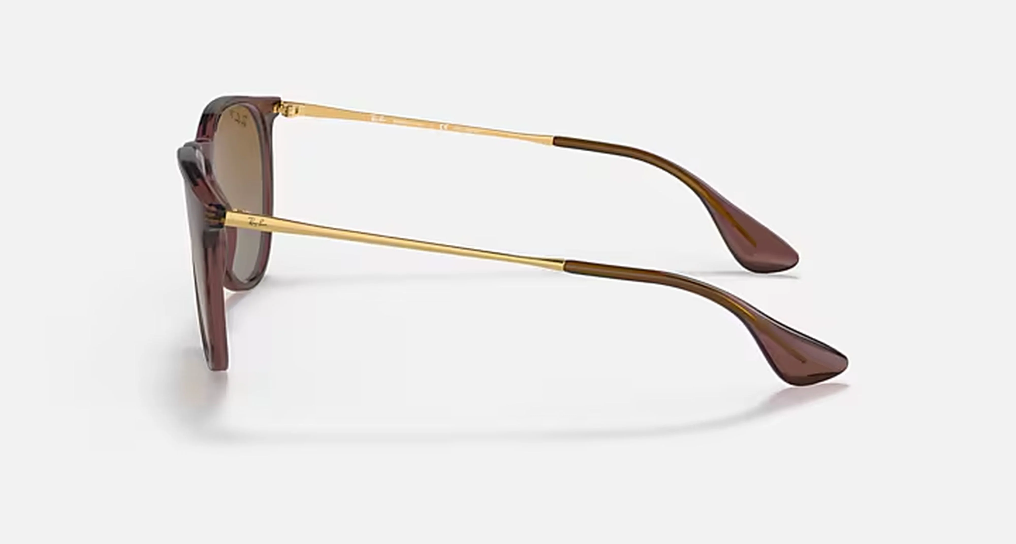 ERIKA CLASSIC LADIES / TRANSPARENT DARK BROWN-BROWN GRADIENT POLAR - Image 3