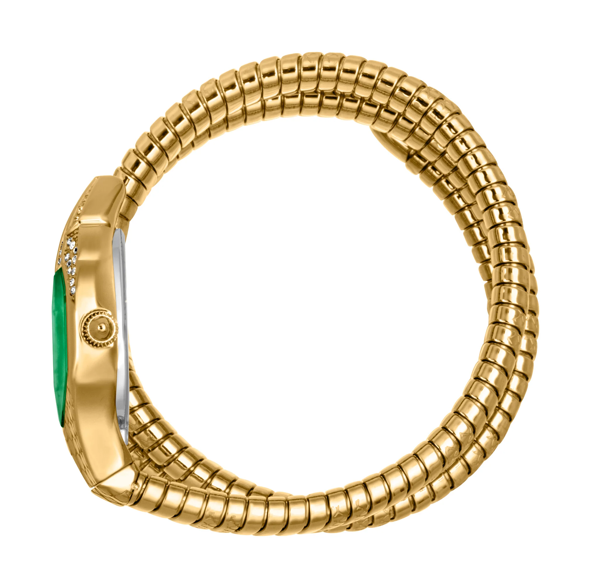 Just Cavalli 22mm / Gold / Green | Green Dial - Image 3