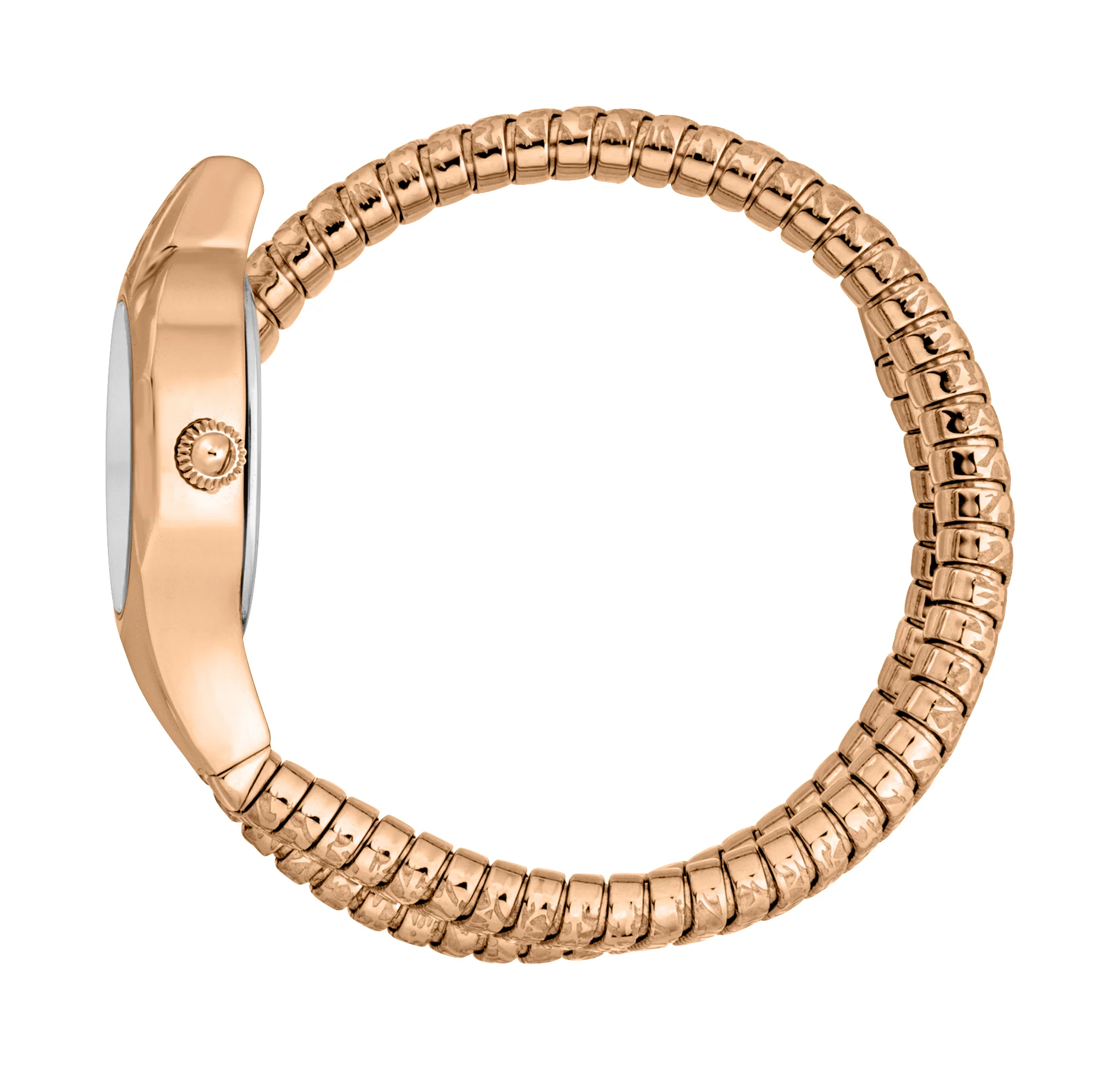 Just Cavalli 22mm / Rose Gold / Silver Silver Dial - Image 2