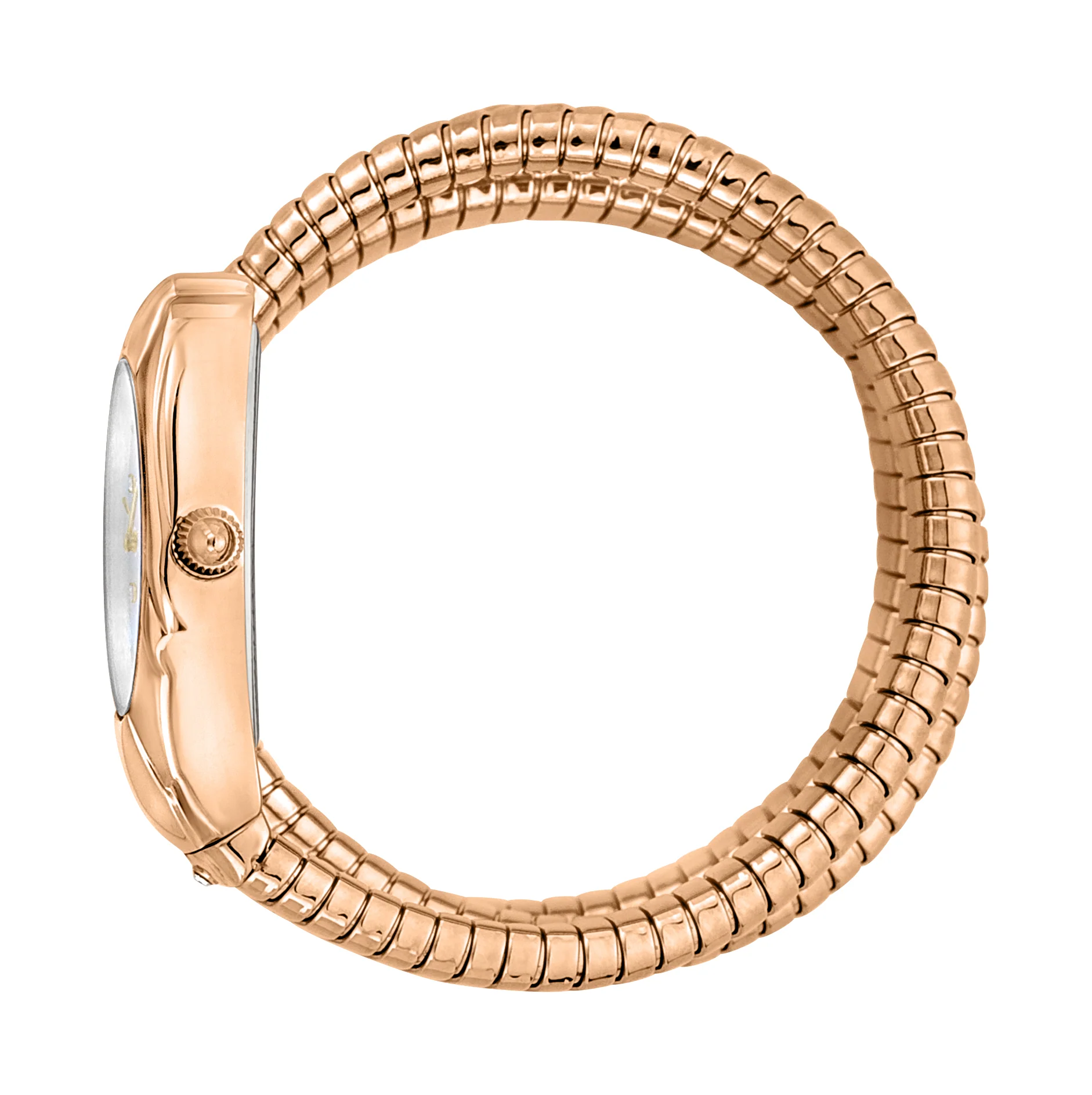 Just Cavalli 22mm / Rose Gold / Silver Silver Dial - Image 3
