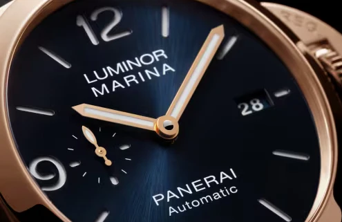Luminor Marina Goldtech Blue Leather | -------------- Dial - Image 3