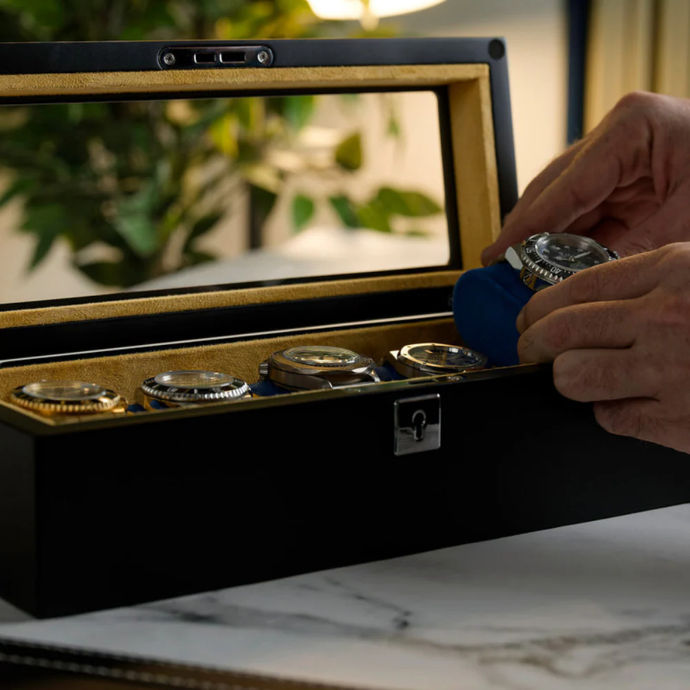 Mainspring Raceday Monte Carlo 5-Slot Collector Box (Black) - Image 4