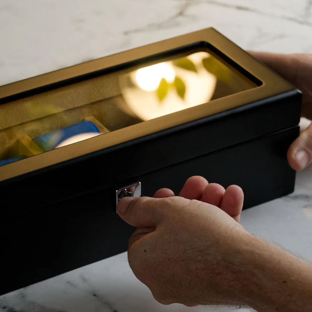 Mainspring Raceday Monte Carlo 5-Slot Collector Box (Black) - Image 6