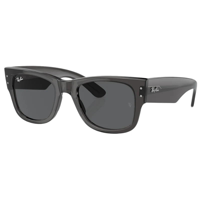MEGA WAYFARER UNISEX Transparent Black / Dark Grey | Dial
