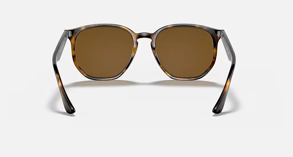RB4306 UNISEX Light Havana / Brown |  Dial - Image 4