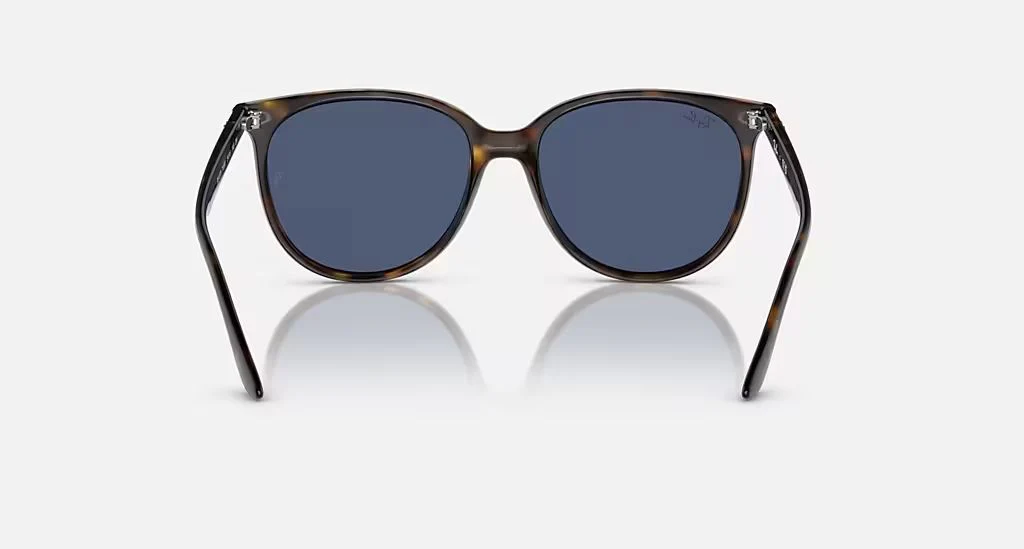 RB4378 WOMEN'S Havana / Dark Blue |  Dial - Image 4