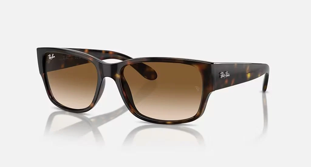 RB4388 UNISEX Havana / Clear Gradient Brown | Dial