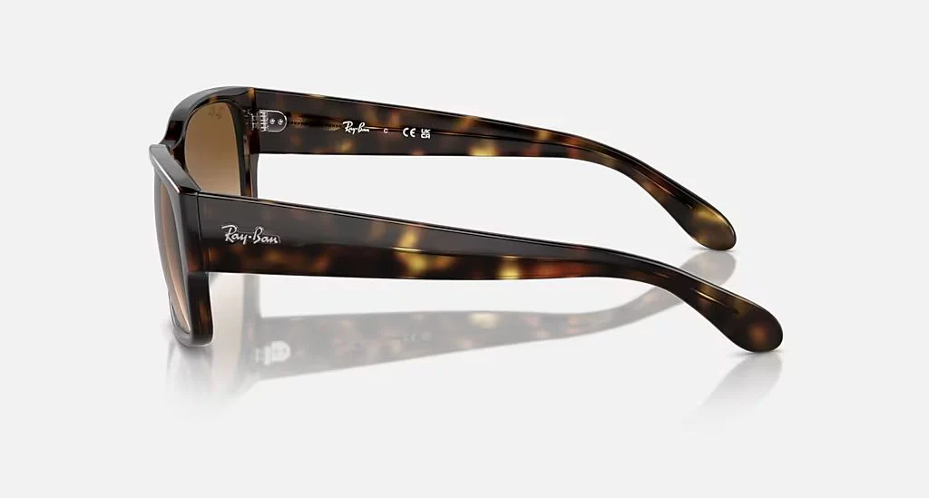 RB4388 UNISEX Havana / Clear Gradient Brown | Dial - Image 3