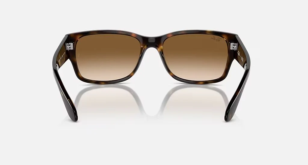 RB4388 UNISEX Havana / Clear Gradient Brown | Dial - Image 4