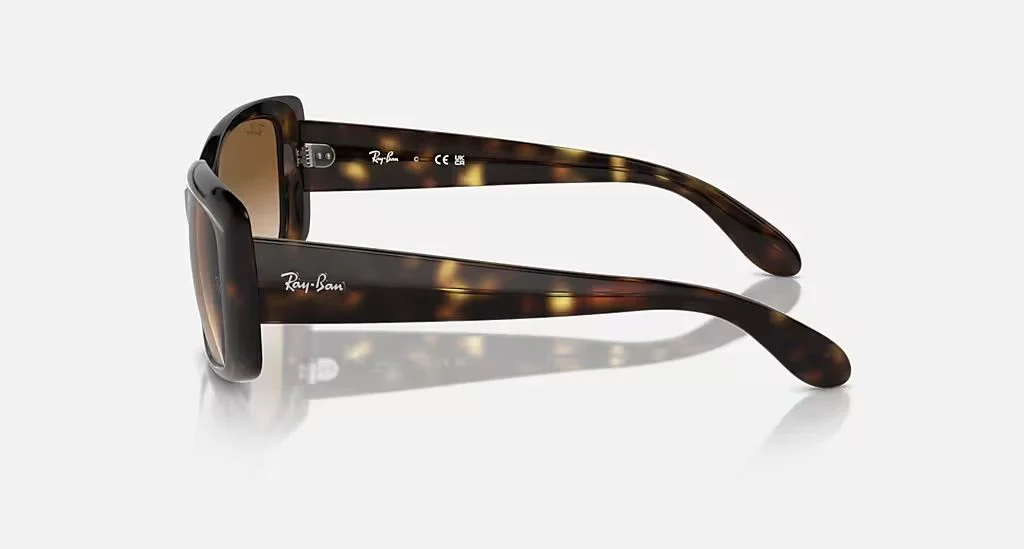 RB4389 WOMEN'S Havana / Clear Gradient Brown |  Dial - Image 3