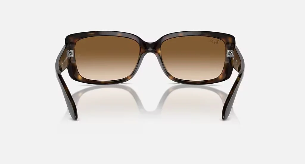 RB4389 WOMEN'S Havana / Clear Gradient Brown |  Dial - Image 4