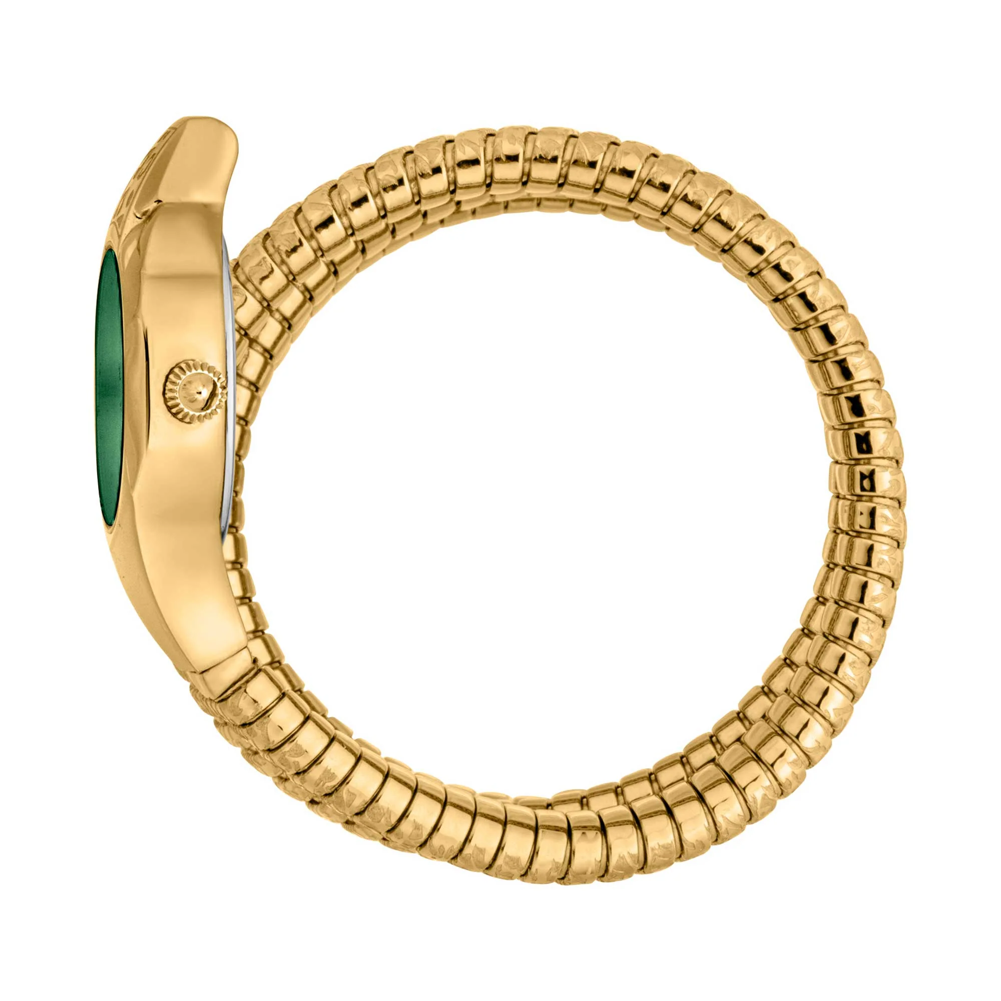 Signature Snake 22mm / Green / Gold | Green Dial - Image 2