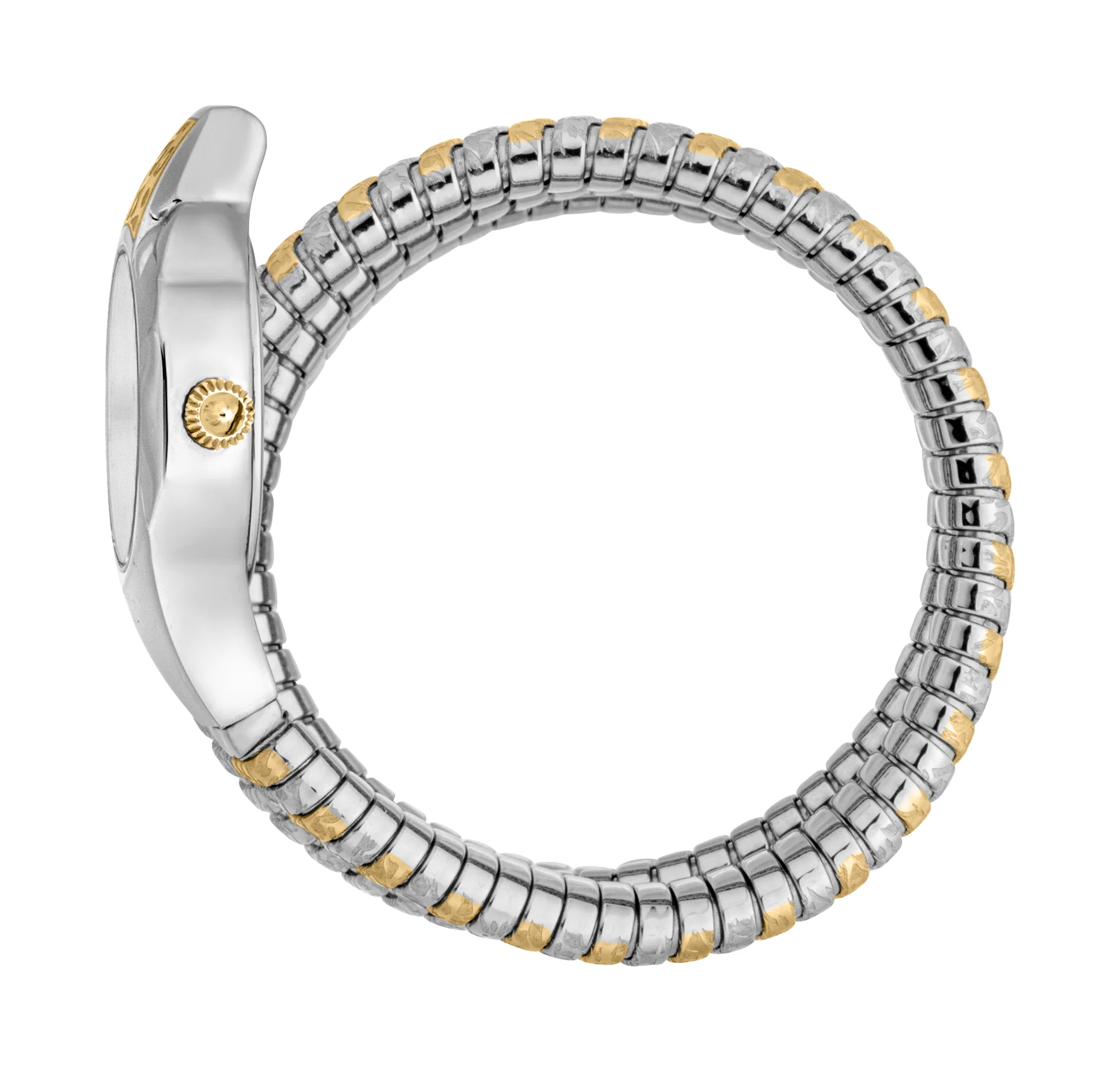 Signature Snake 22mm / Silver / Silver and Gold | Silver Dial - Image 3