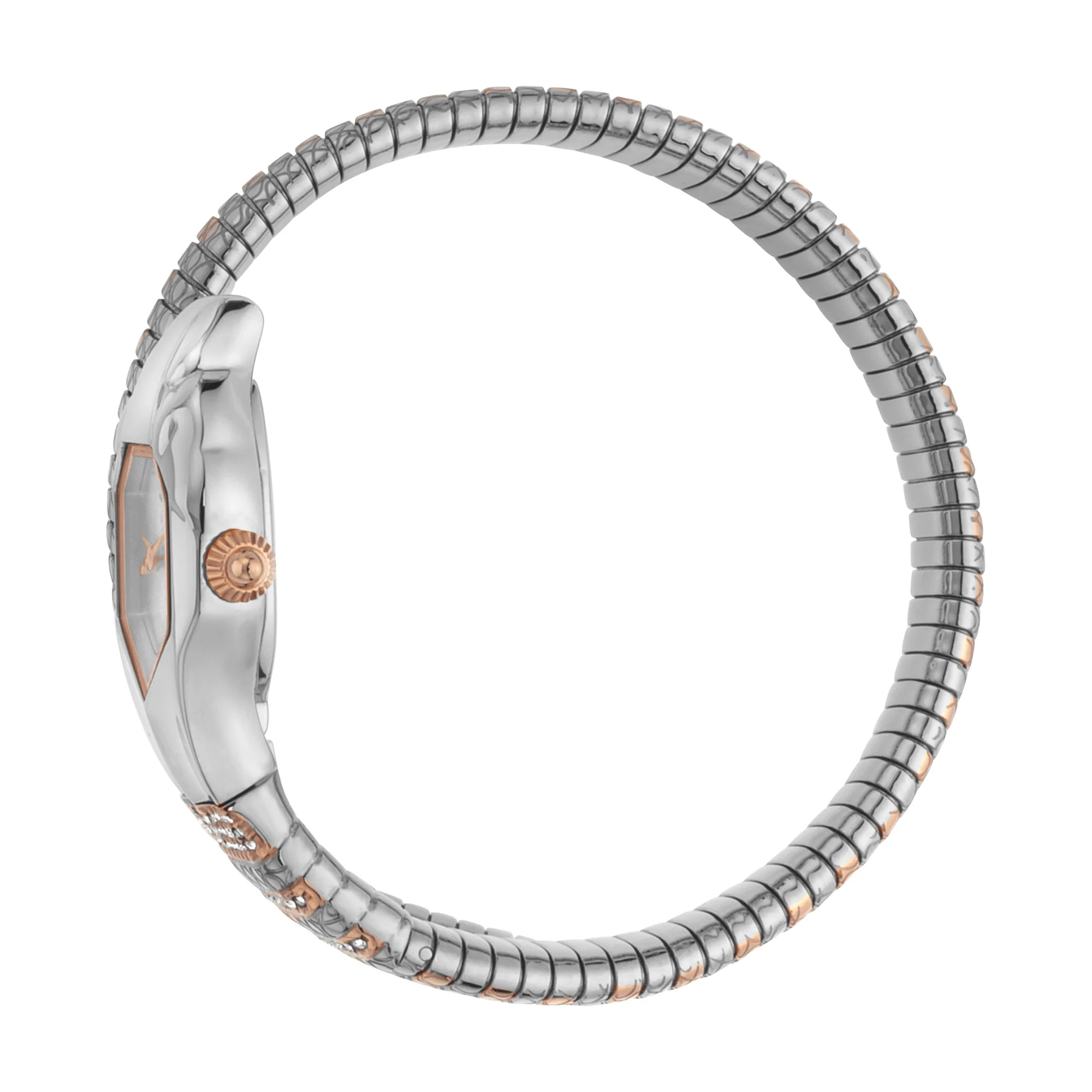 Signature Snake 22mm / Silver / Silver | Silver Dial - Image 2