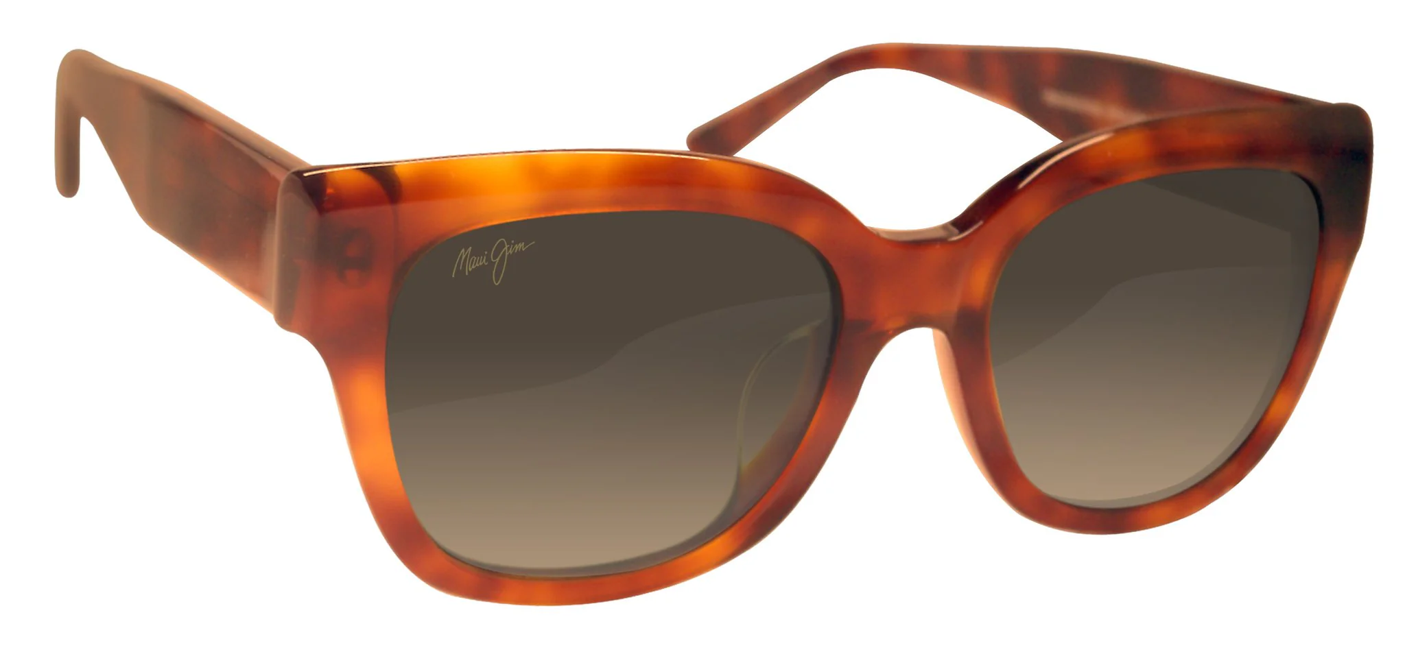 SIREN SONG LADIES / KOA TORTOISE / HCL BRONZE | Dial - Image 4