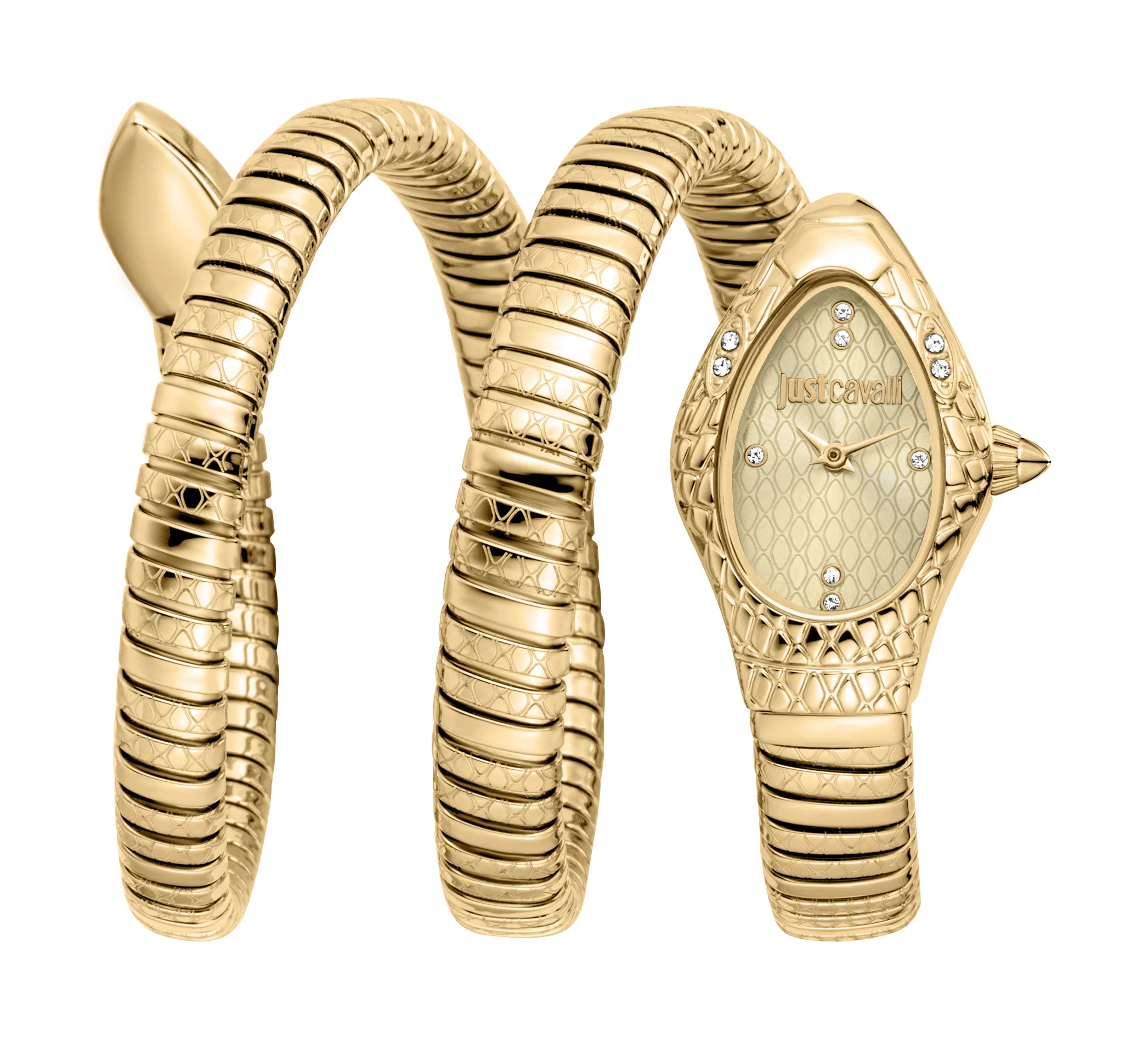 Snake 20mm / Champagne / Gold | Champagne Dial