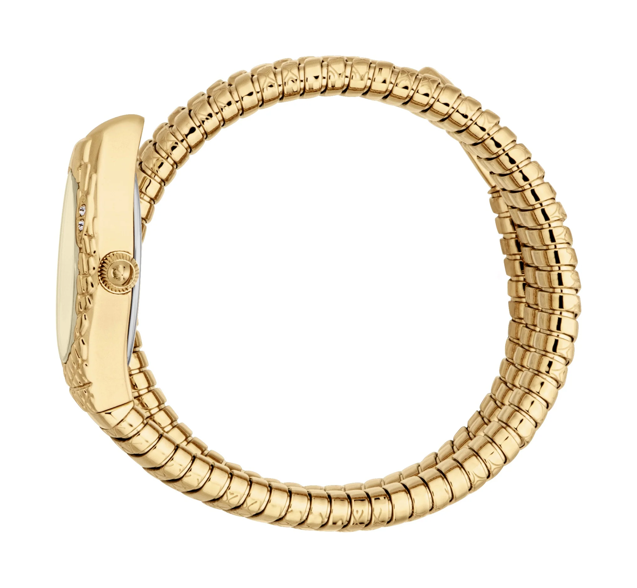Snake 20mm / Champagne / Gold | Champagne Dial - Image 2