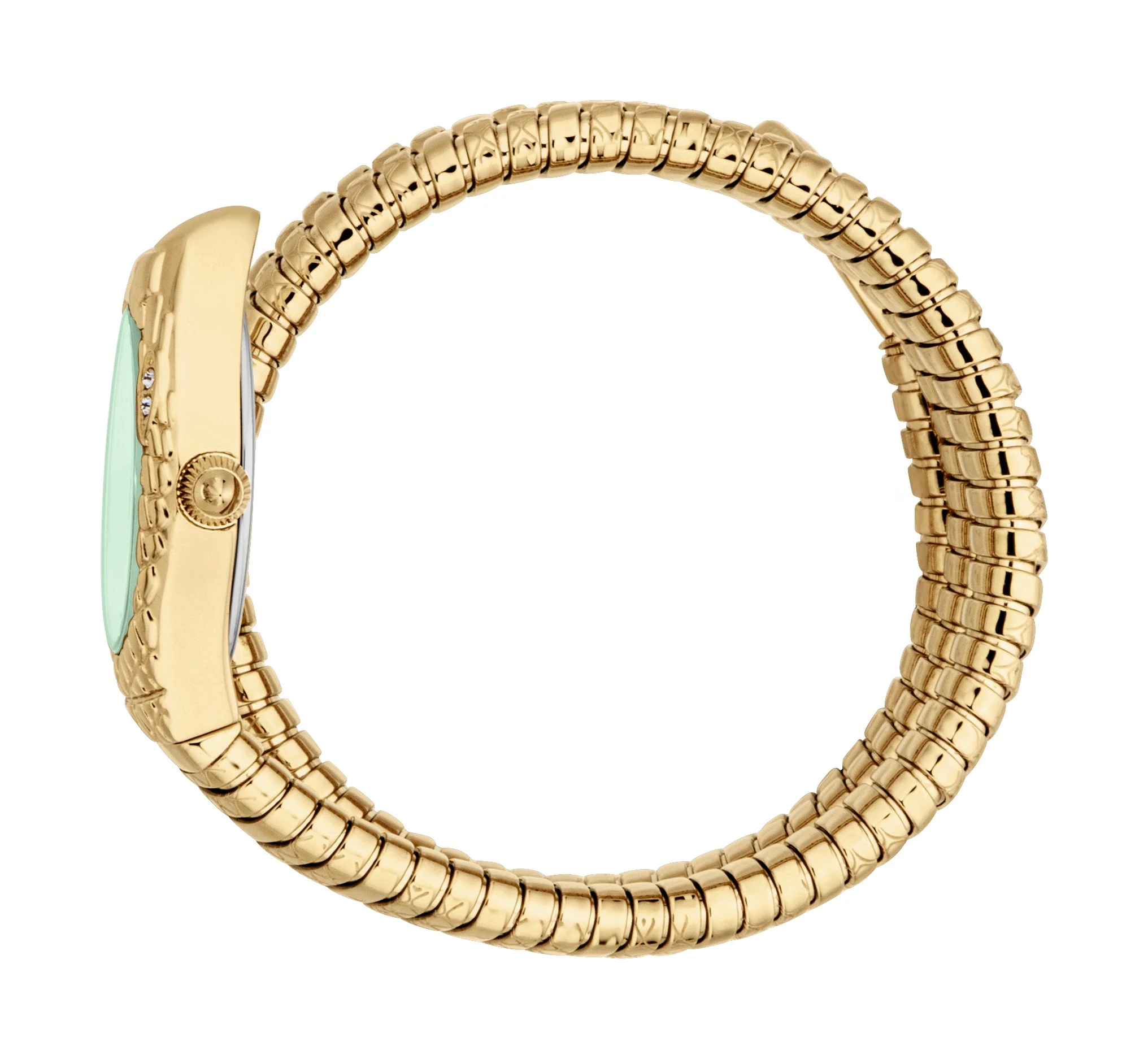 Snake 20mm / Dark Green / Gold | Dark Green Dial - Image 2