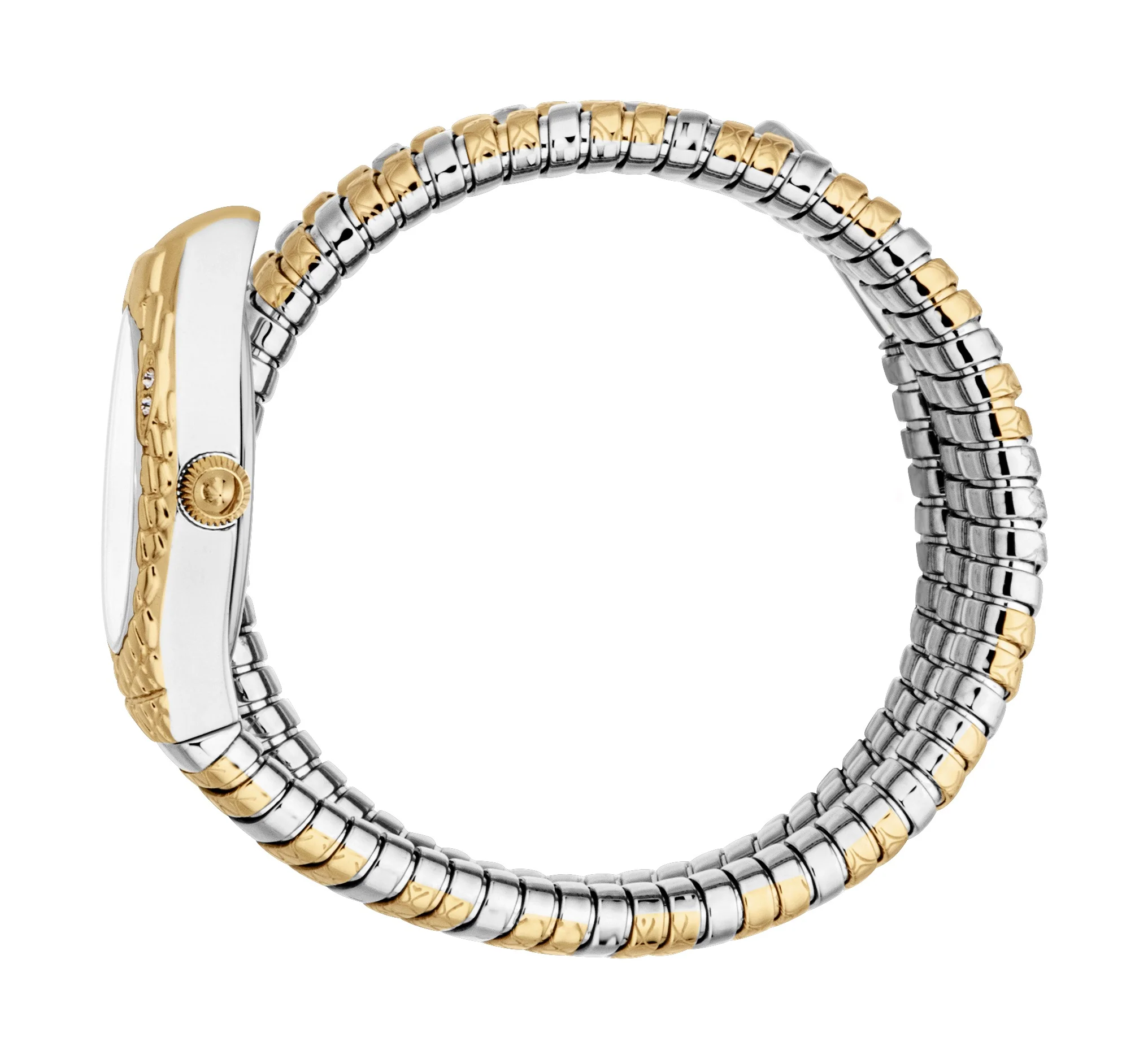 Snake 20mm / Silver / Silver and Gold | Silver Dial - Image 2