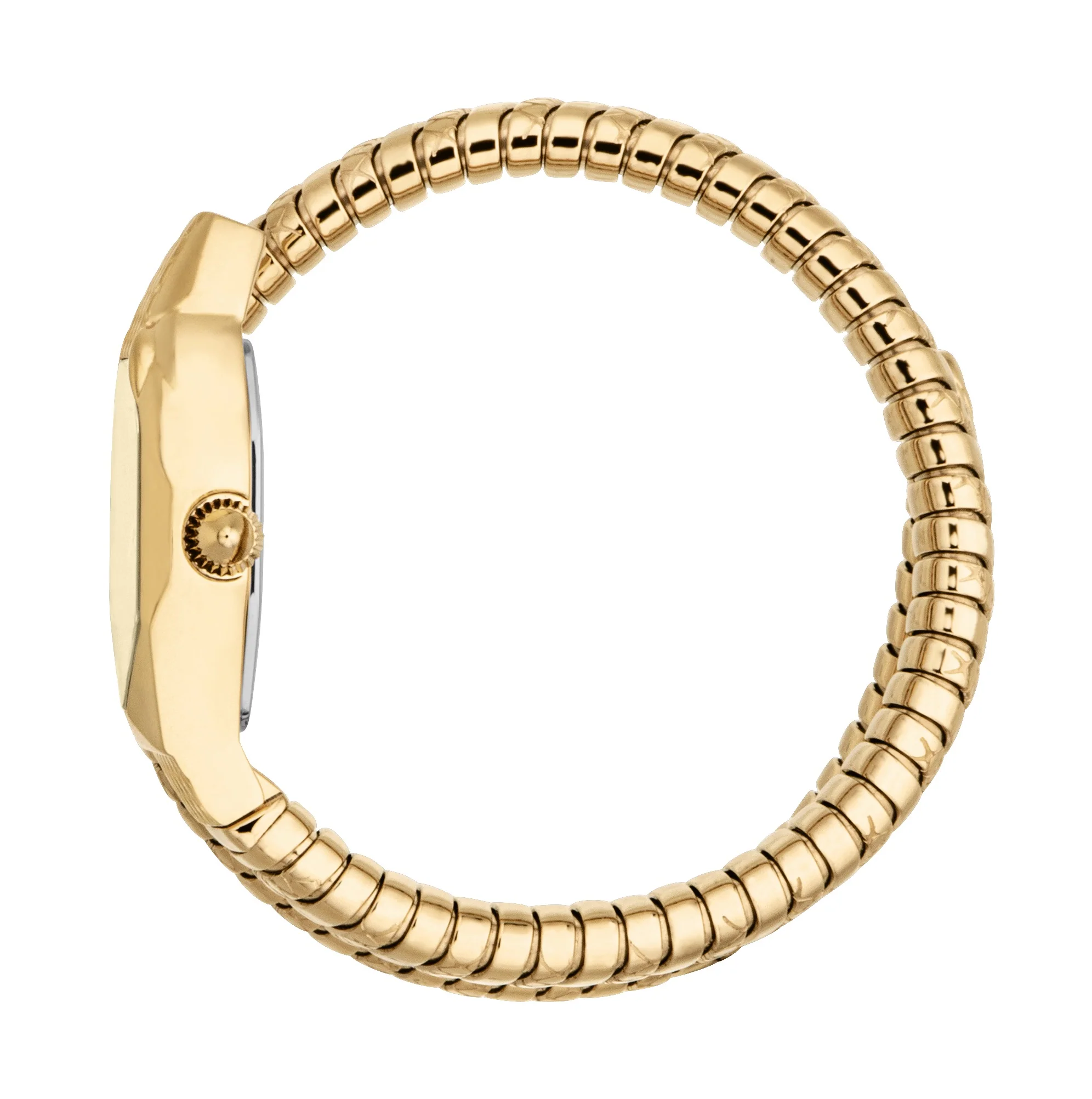 Snake 22mm / Champagne / Gold | Champagne Dial - Image 2