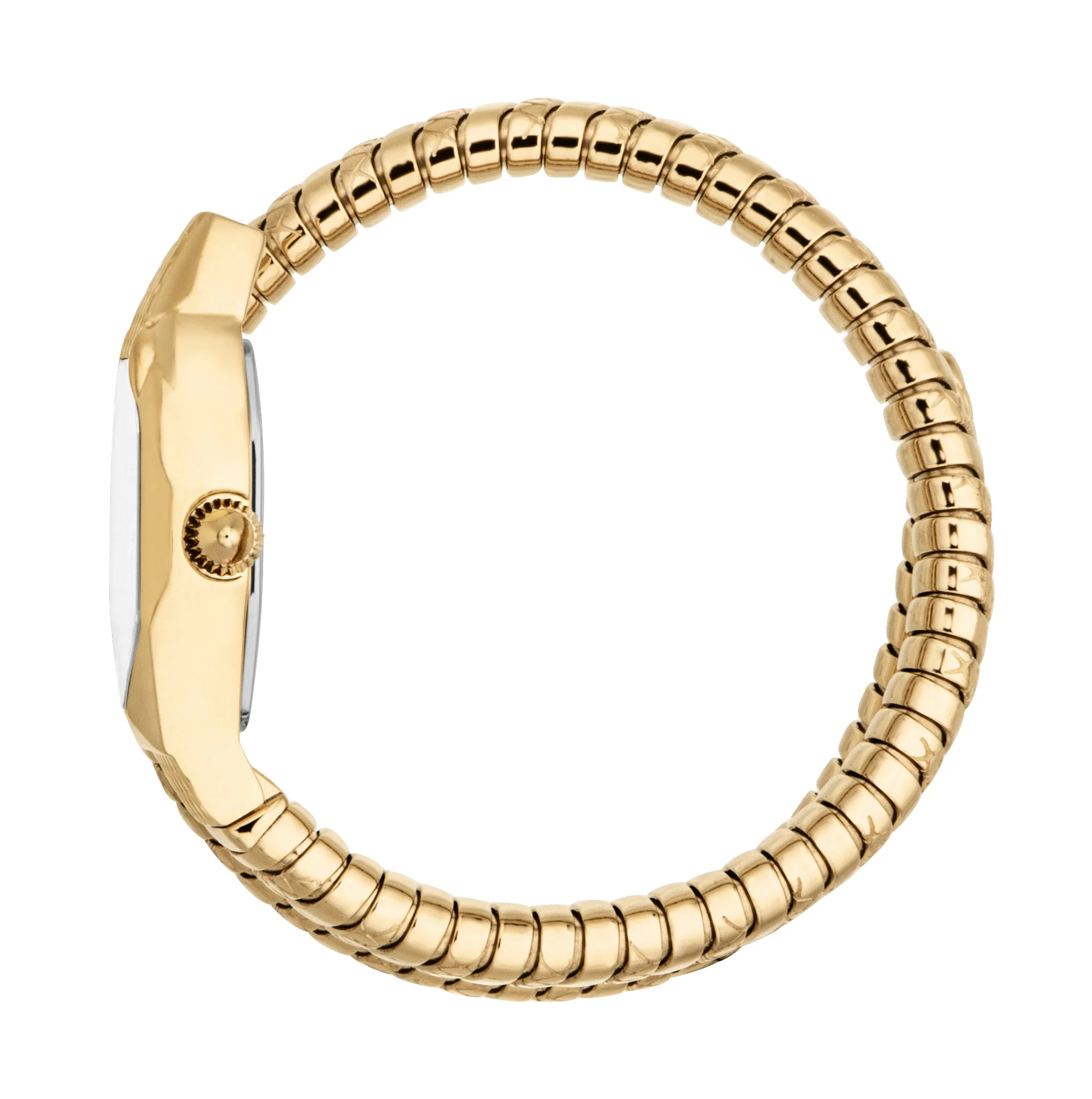 Snake 22mm / Silver / Gold Silver Dial - Image 2