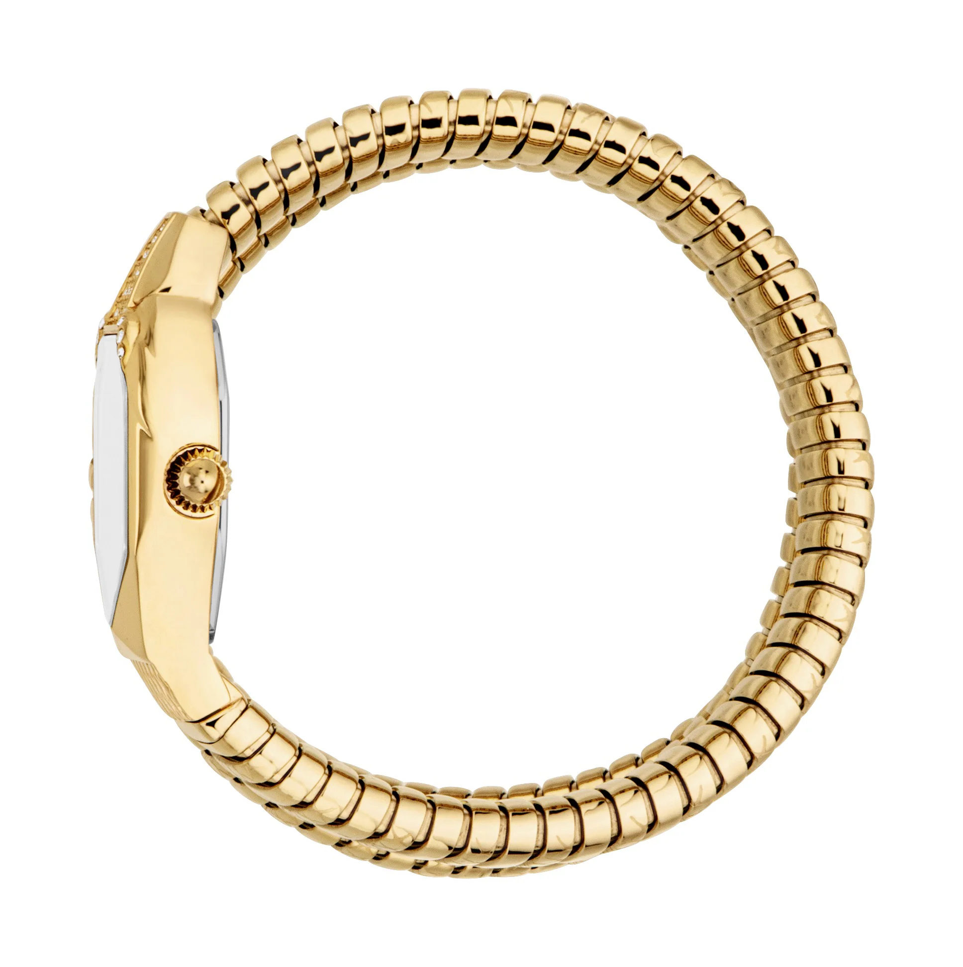 Snake 22mm / Silver / Gold Silver Dial - Image 2