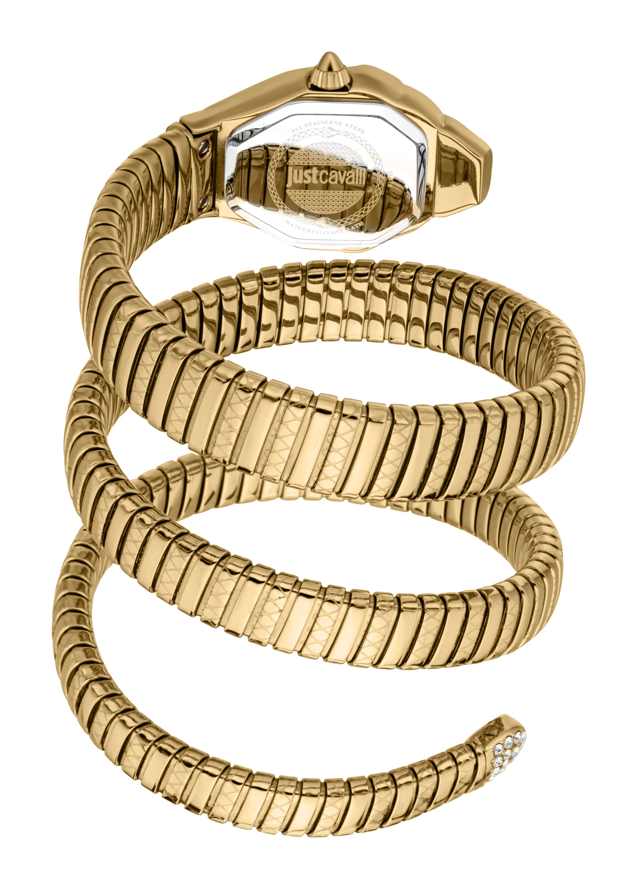Snake 22mm / Silver / Gold Silver Dial - Image 3