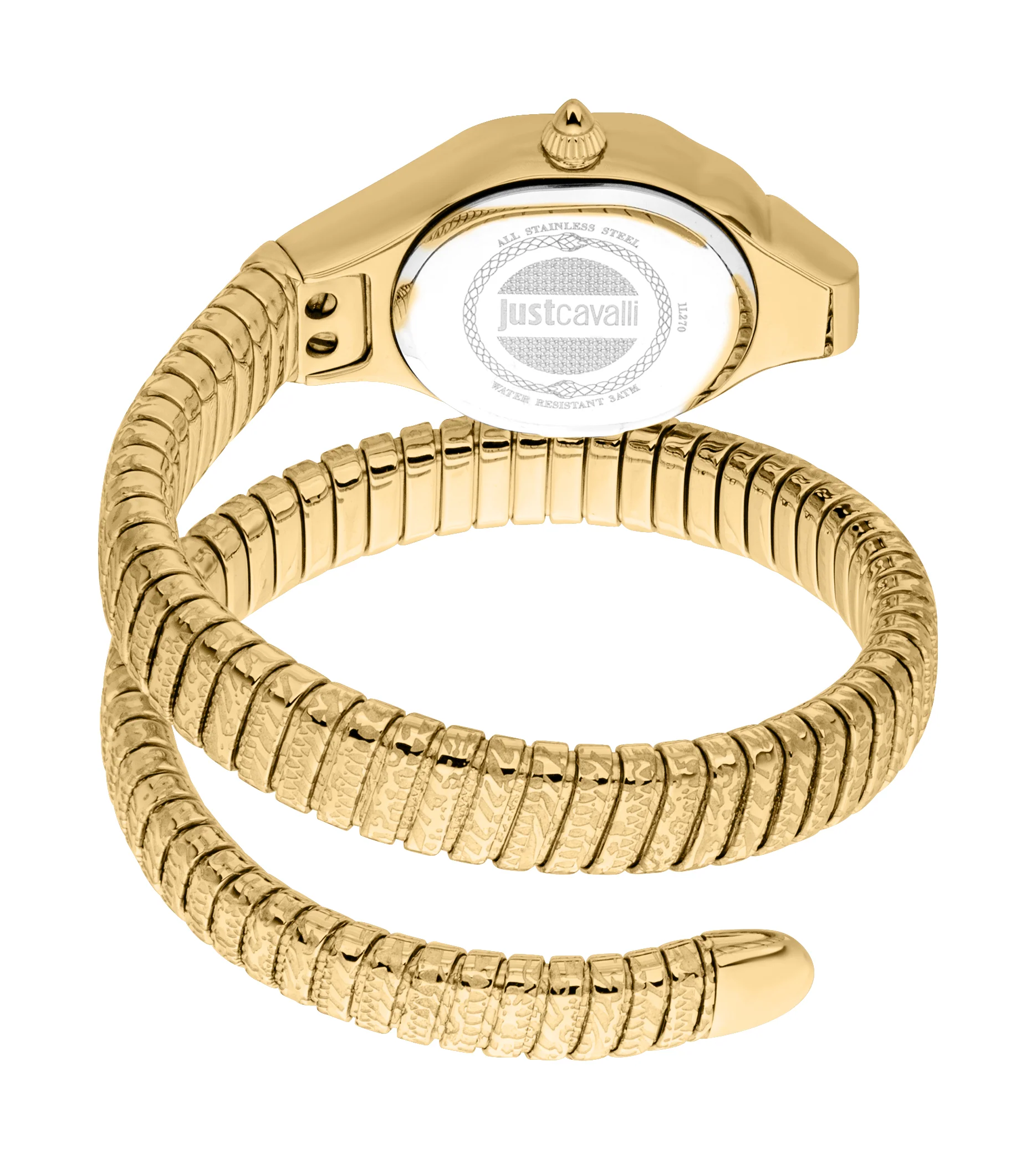 Snake 22mm / Silver / Gold Silver Dial - Image 2