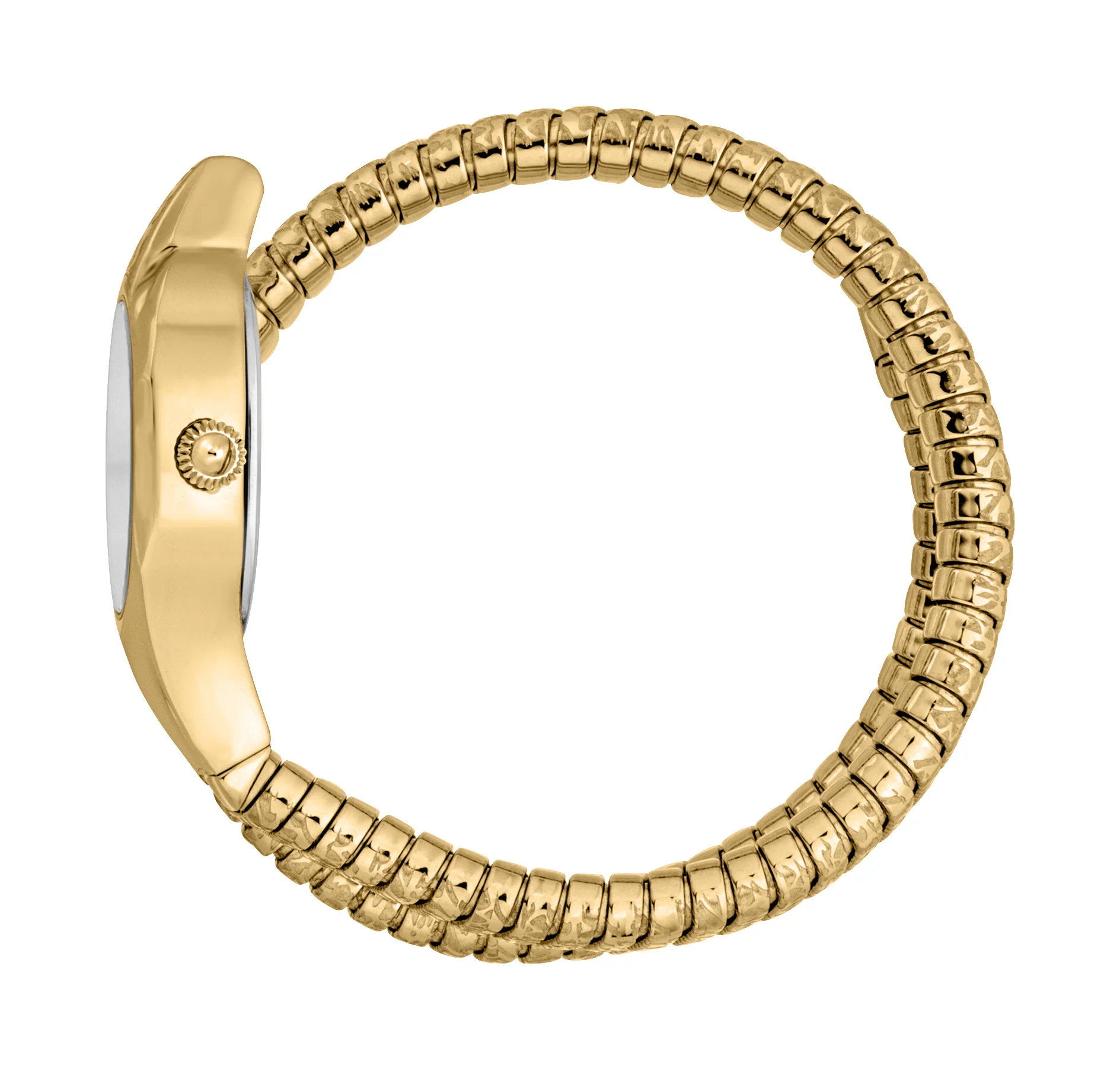 Snake 22mm / Silver / Gold Silver Dial - Image 3