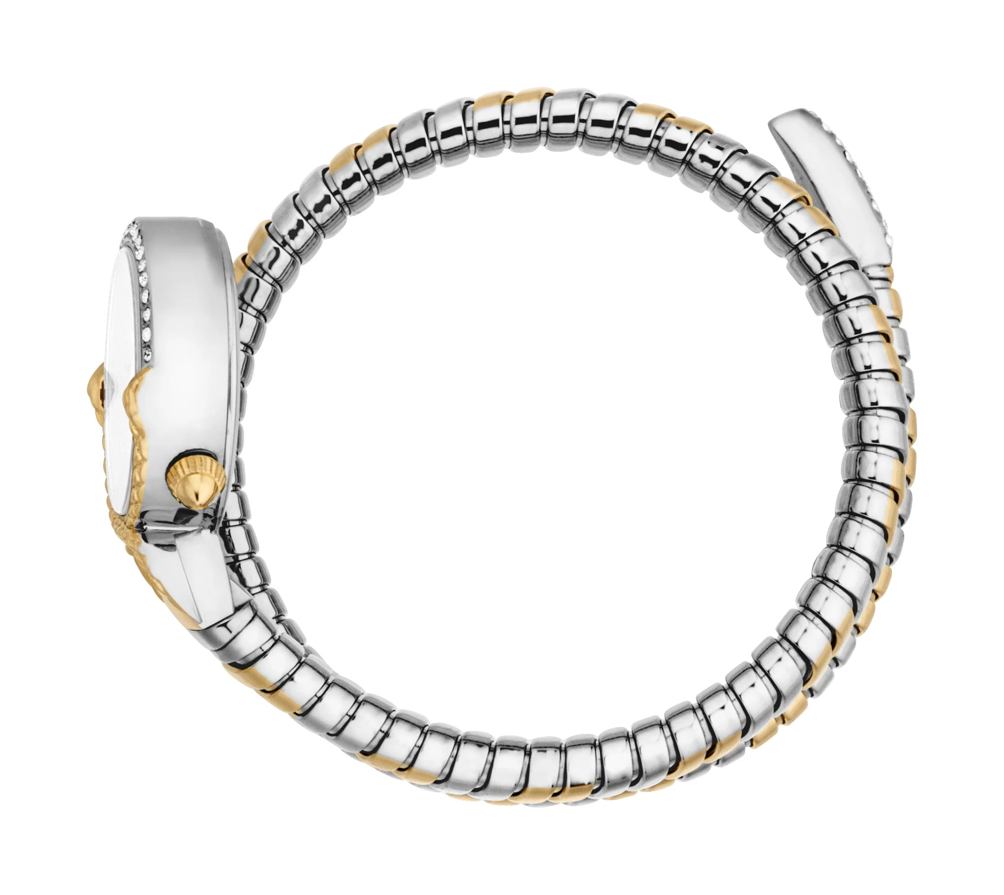 Snake 22mm / Silver / Silver and Gold Silver Dial - Image 2