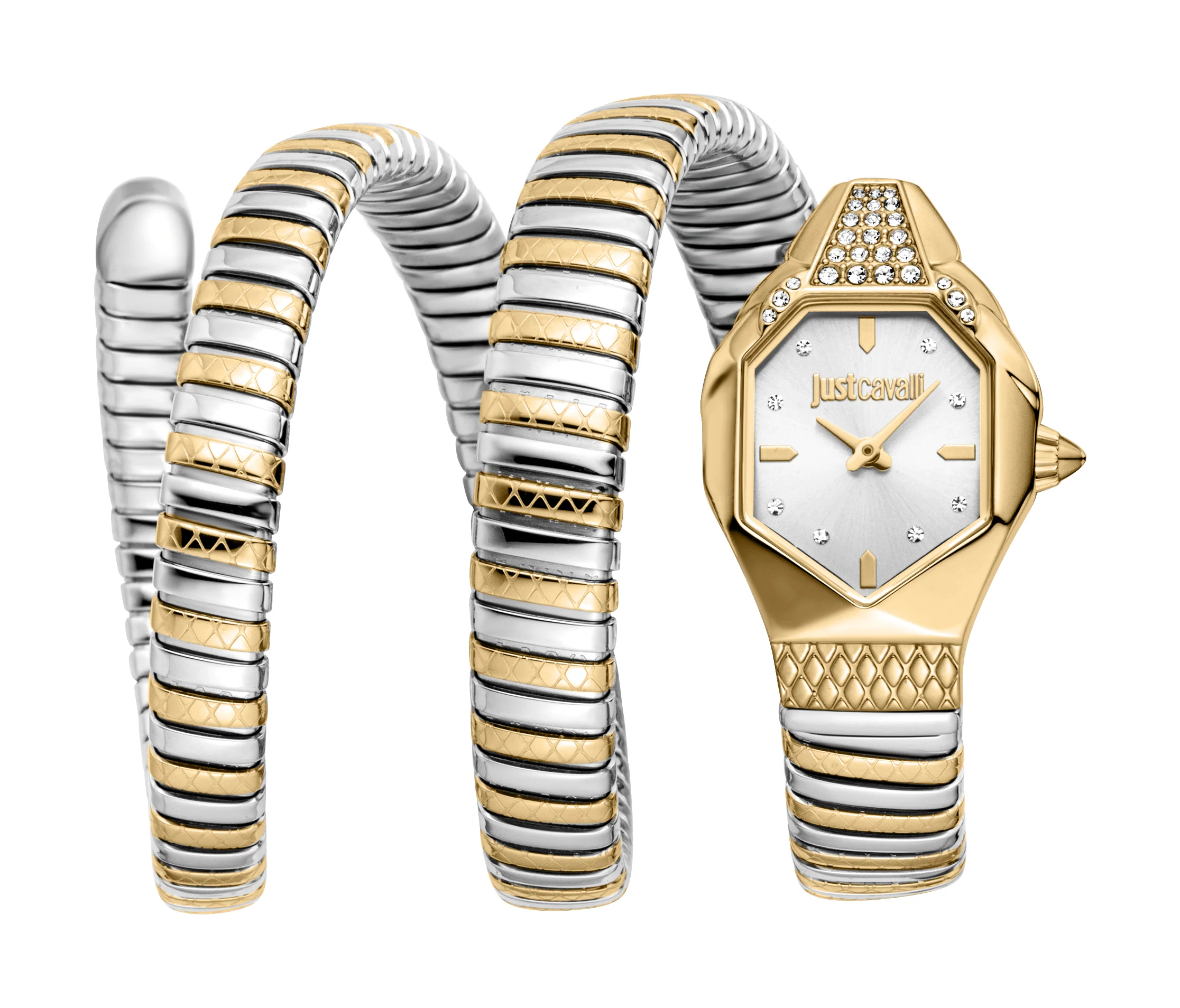 Snake 22mm / Silver / Silver and Gold Silver Dial