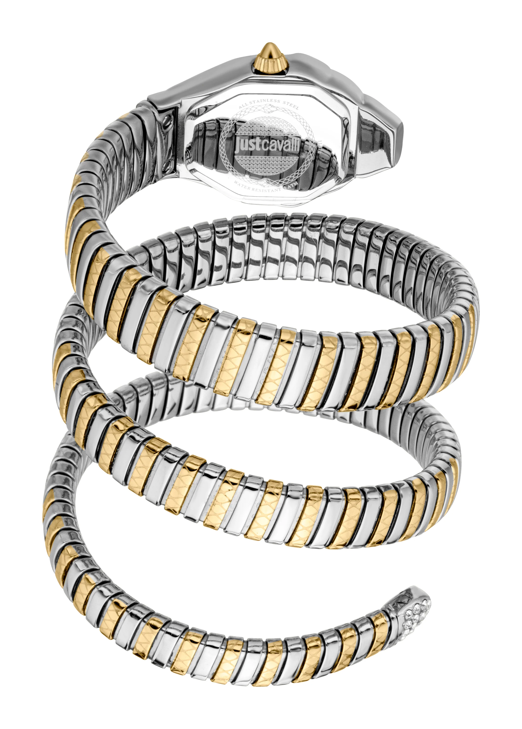 Snake 22mm / Silver / Silver and Gold Silver Dial - Image 3