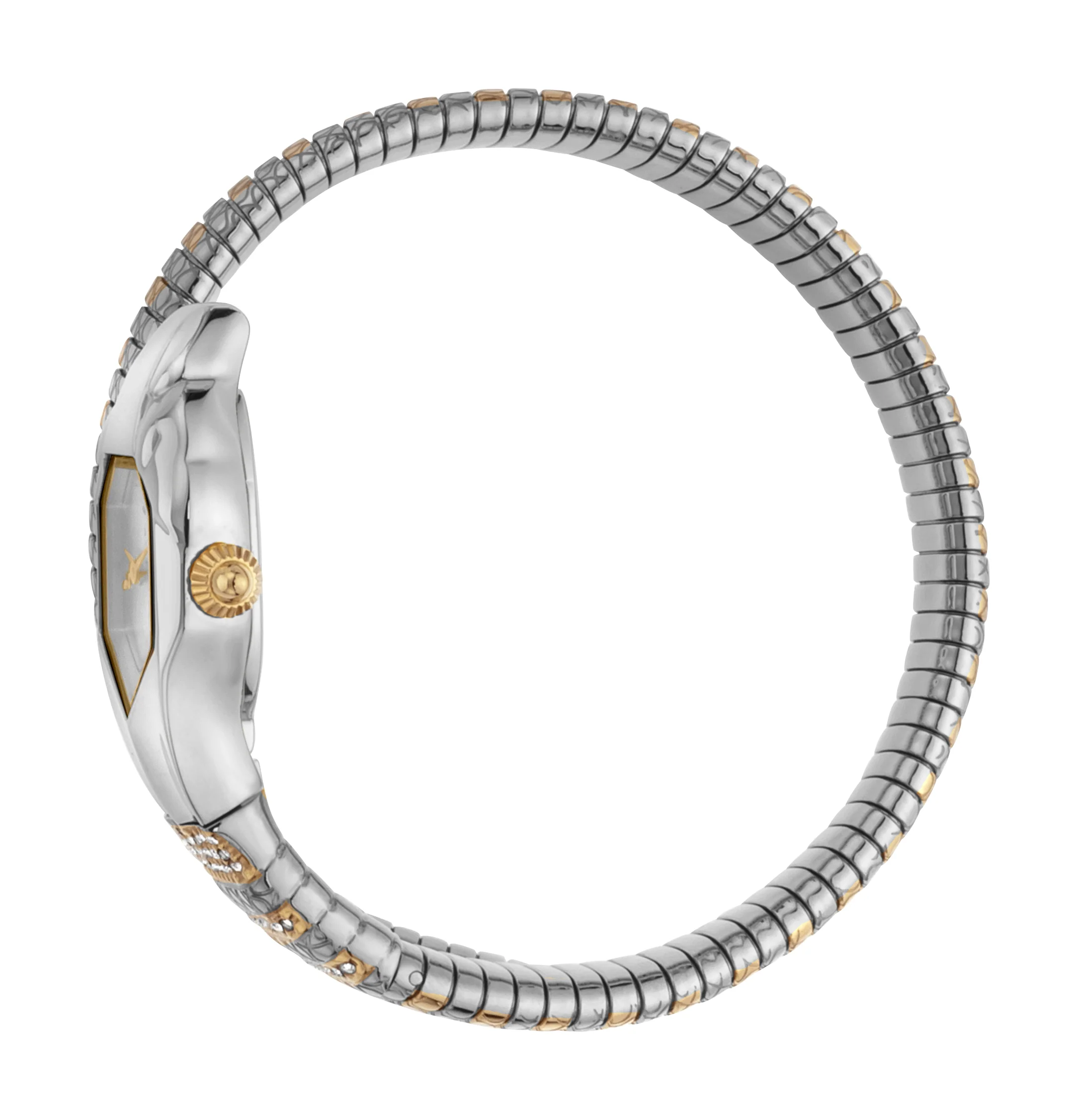 Snake 22mm / Silver / Silver and Gold Silver Dial - Image 2
