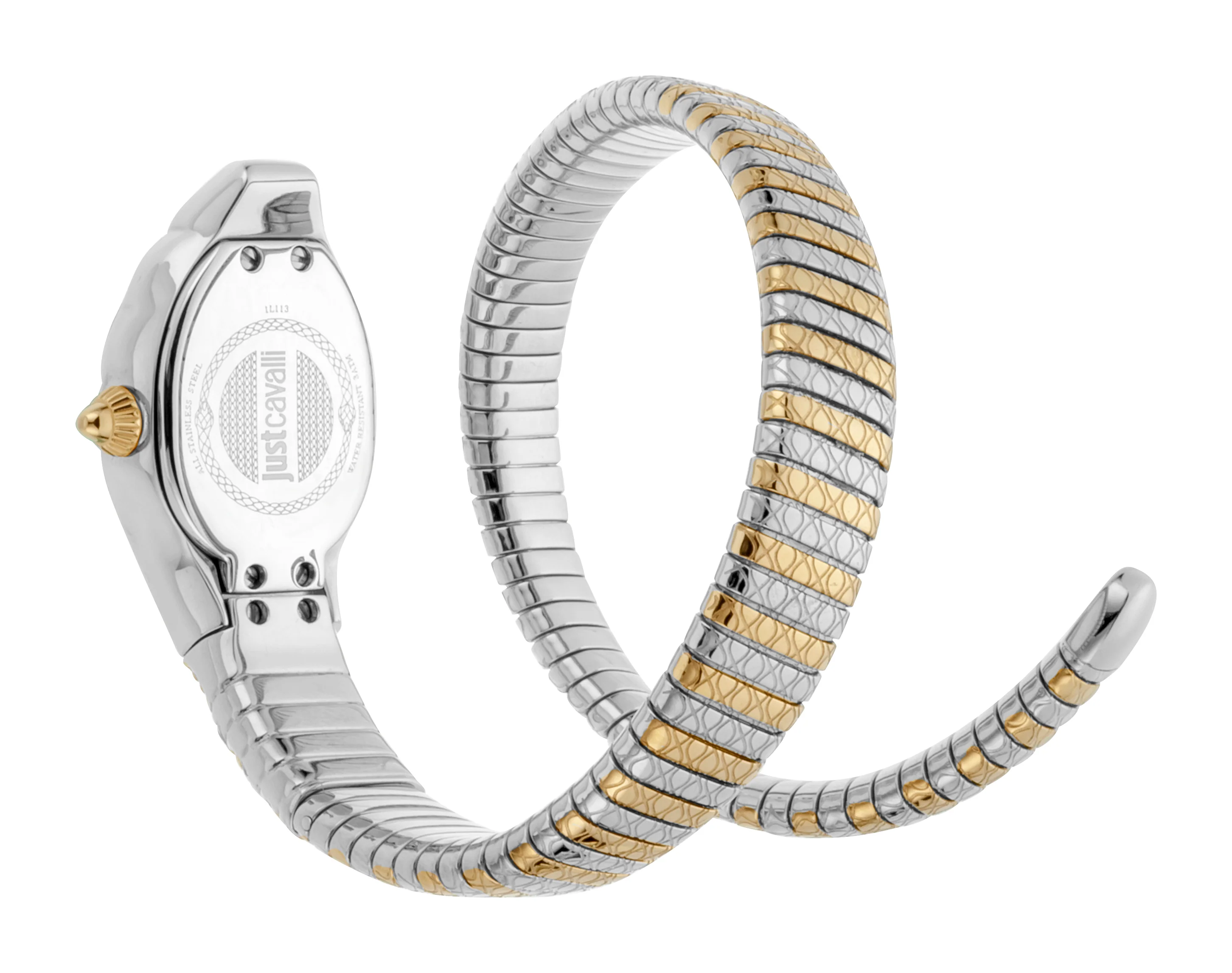 Snake 22mm / Silver / Silver and Gold Silver Dial - Image 3