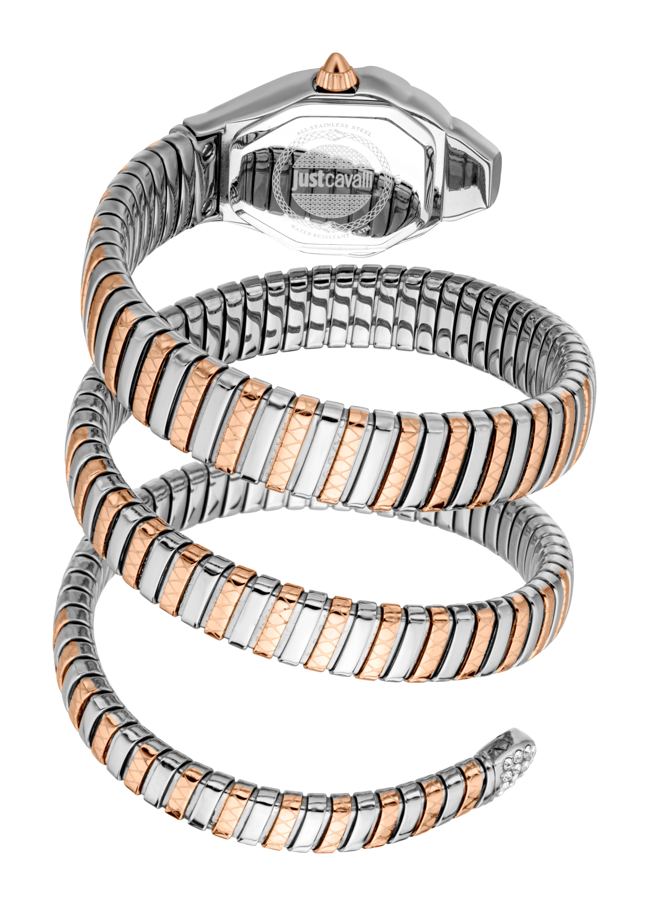 Snake 22mm / Silver / Silver and Rose Gold Silver Dial - Image 3