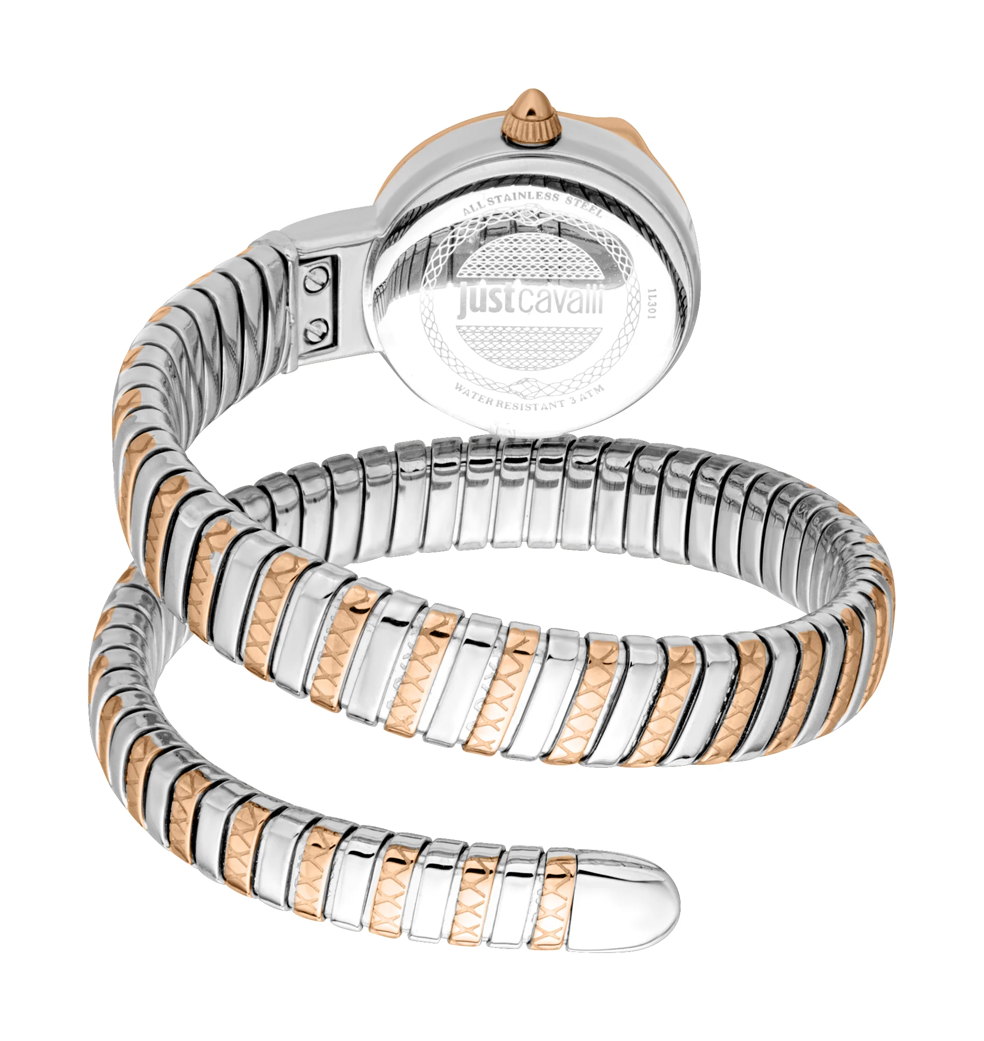 Snake 22mm / Silver / Silver and Rose Gold Silver Dial - Image 2