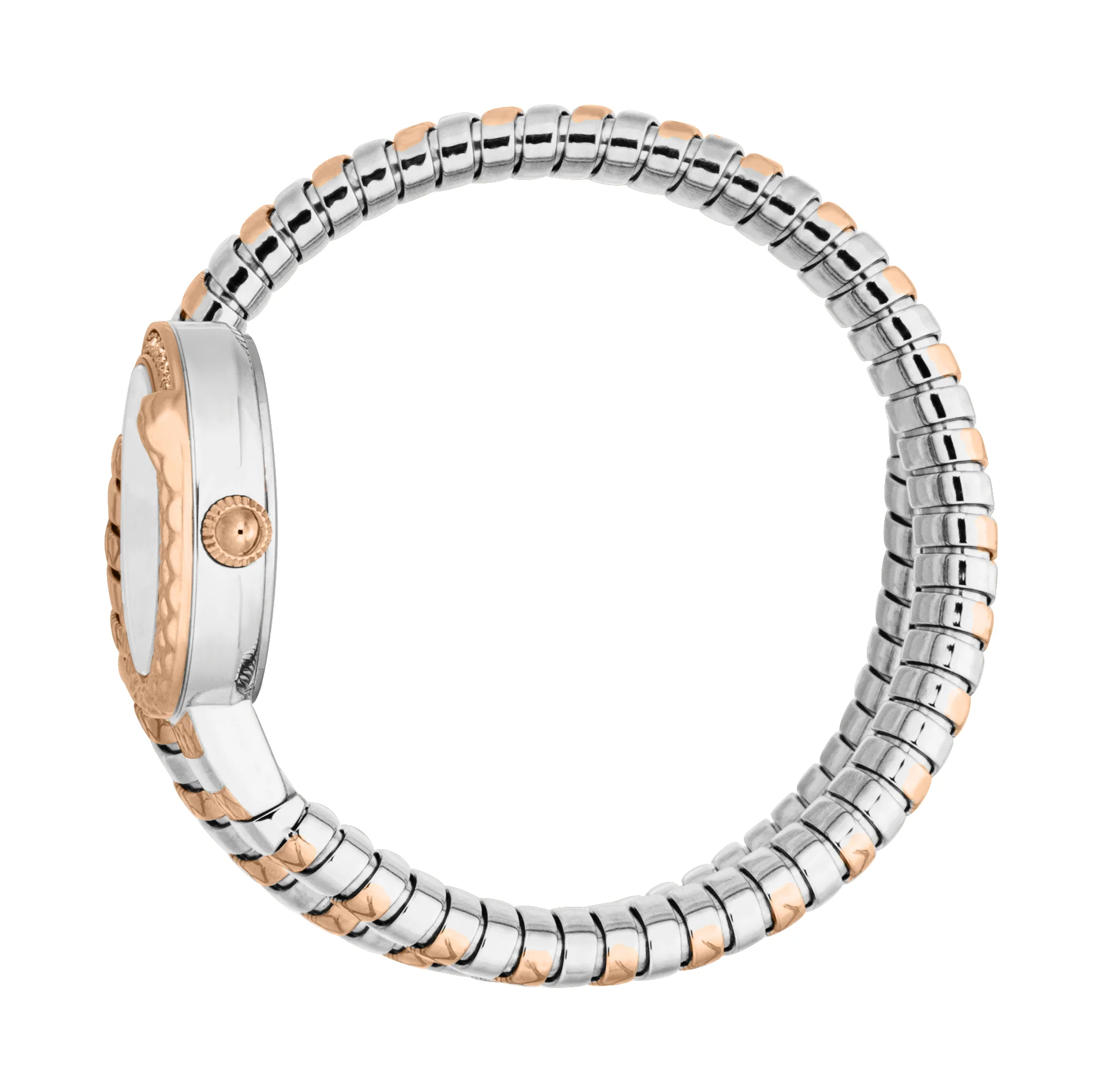 Snake 22mm / Silver / Silver and Rose Gold Silver Dial - Image 3