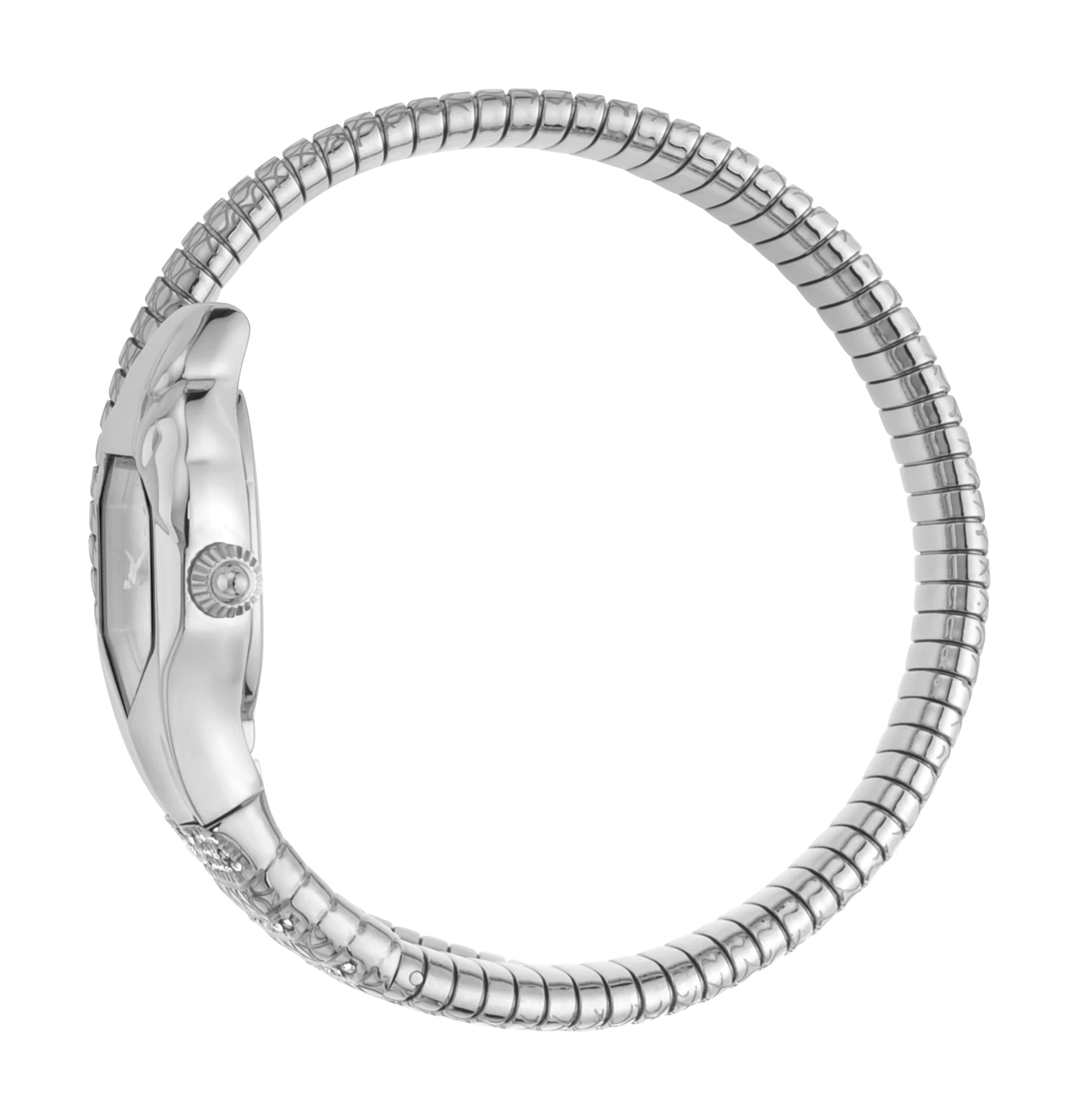 Snake 22mm / Silver / Silver Silver Dial - Image 2