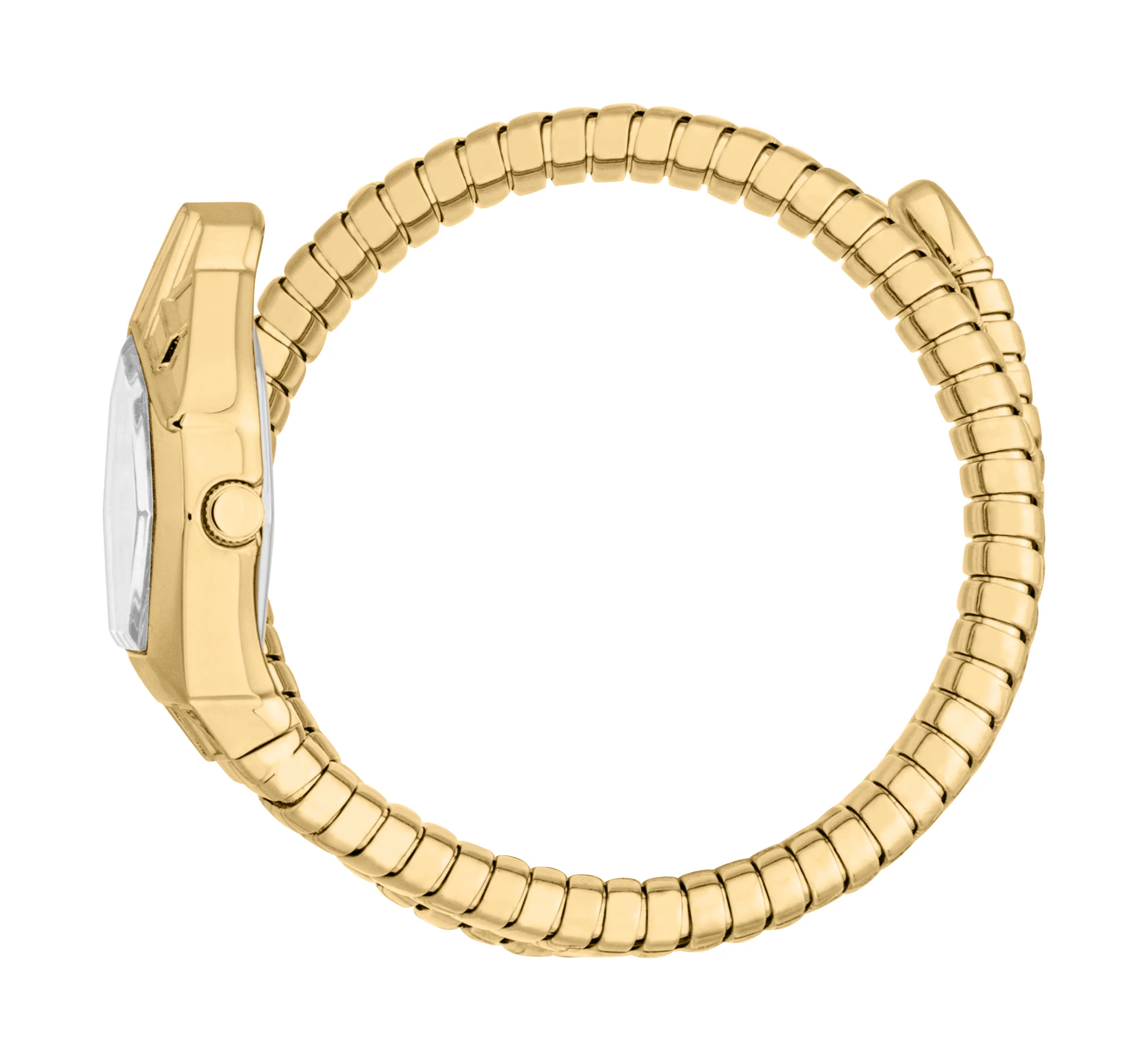 Snake 23mm / Silver / Gold | Silver Dial - Image 3