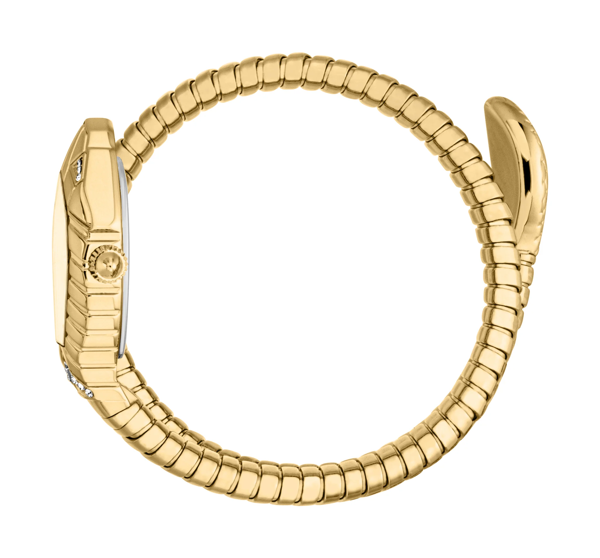 Speranza 21.5mm / Champagne / Gold | Champagne Dial - Image 3